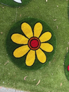 Daisies Red, Yellow, & White